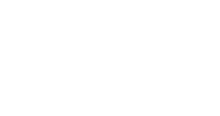 Working Capital